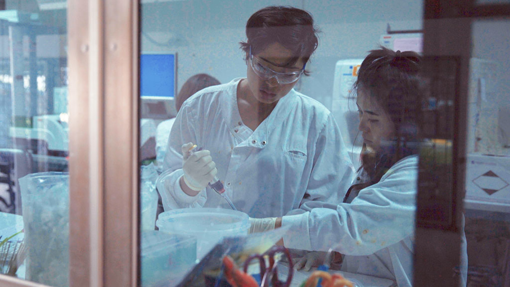 Scientists studying drug resistant malaria - Credit: Caz Tanner